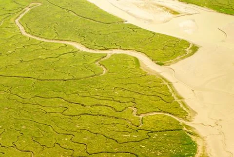 Coastal Tide Patterns Stock Photos