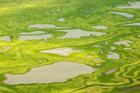 Coastal Tide Patterns Stock Photos