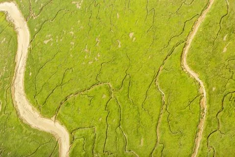 Coastal Tide Patterns Stock Photos