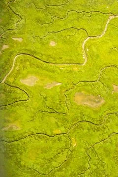 Coastal Tide Patterns Stock Photos