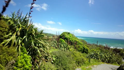 Coastal track with ocean view Stock Footage 325776010
