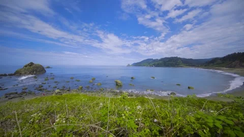Coastal Trail and Hidden Beach Views in Redwood National Park, California Stock Footage 332424177