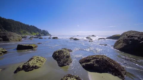 Coastal Trail and Hidden Beach, Redwood National Park: Scenic Pacific Ocean Shor Stock Footage 332424581