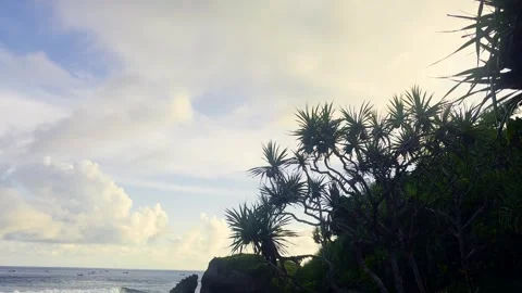 Coastal Trees Framing Cloudy Ocean Stock Footage 337526875