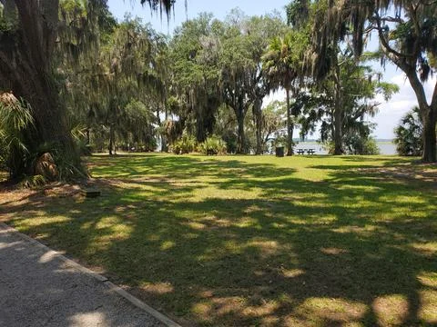 Coastal trees Stock Photos