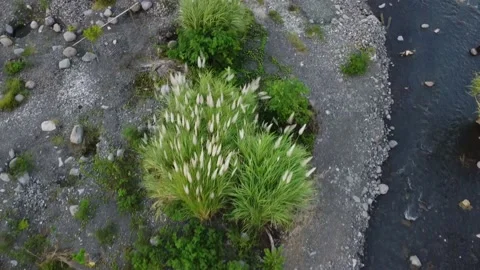 Coastal video footage using drones Video stock 237291690