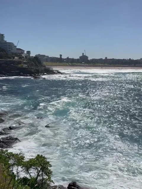 Coastal View of Crashing Waves and Distant Buildings Vídeos de archivo 341319330