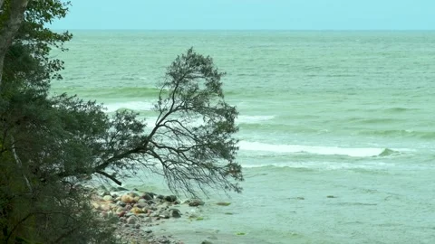 Coastal view with crashing waves, rugged shore, and silhouetted trees Stock Footage 341316956