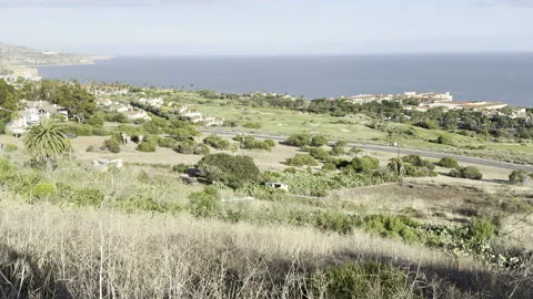 Coastal View Over Golf Course Stock Footage 341351047