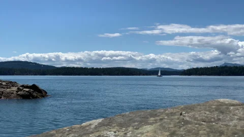 Coastal view sailboat Stock Footage 146994308