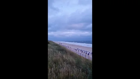 Coastal view of sandy beach with grass and umbrellas along the shore Stock Footage 341131691