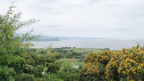 Coastal view showcasing green fields and distant coastline in Northern ireland Stockbeeldmateriaal 306393851