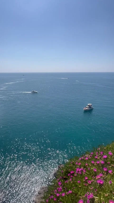 Coastal view with spring flowers by the sea Stock Footage 337125517