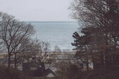 Coastal View Through Bare Trees on a Grey Day Stock Photos