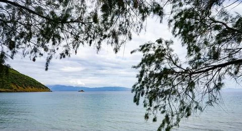 Coastal View Through Tree Branches with Calm Sea and Distant Island 스톡 사진