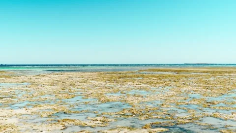 Coastal view of a tropical beach at low tide in the Red Sea. 库存影片 341916834