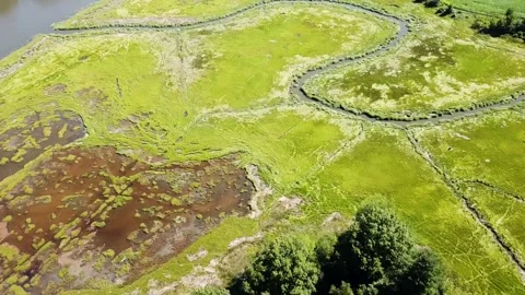 Coastal Waters, Tidal Mud Flats, and Wetlands Stock Footage 137054345