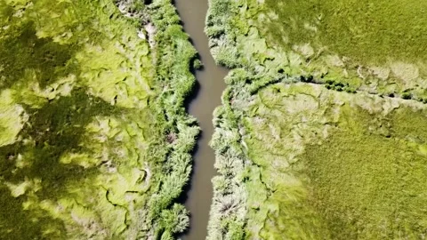 Coastal Waters, Tidal Mud Flats, and Wetlands Stock Footage 137054432