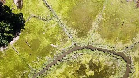 Coastal Waters, Tidal Mud Flats, and Wetlands Stock-Footage 137054495