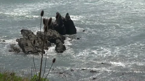 Coastal Waves on rock 스톡 동영상 11304006
