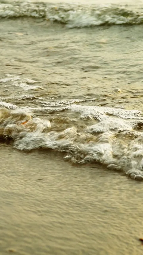 Coastal waves on a sandy beach, yellow autumn leaves floating in the water. Stock Footage 319496579