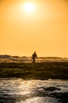 Coastal Worker Work Looking Fish Snail Lobster Clam Crab Earning Earn Money Coas Stock Photos