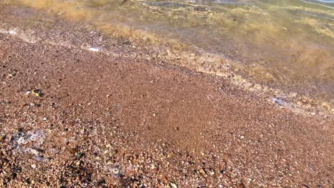 Coastal zone of the coral reef with waves.  Stock Footage 238924778