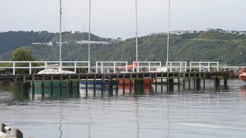 Coastguard pulling in to wharf Stock Footage 113831226
