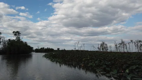 Coasting on Corroboree 스톡 동영상 141406539