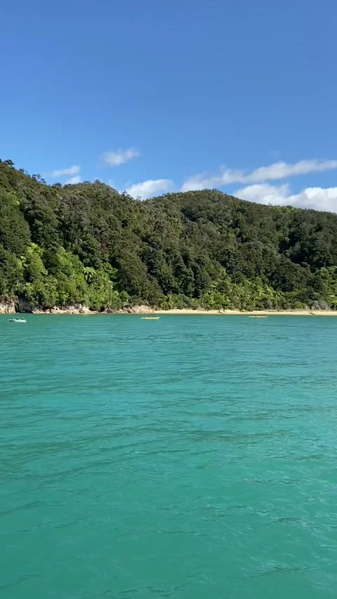 Coastline in Abel Tasman Vidéo 343952271