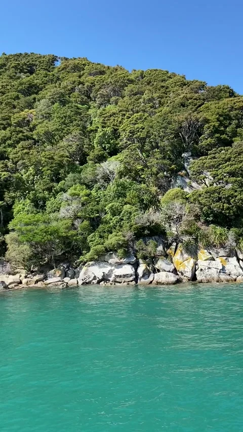 Coastline in Abel Tasman 스톡 동영상 343952290