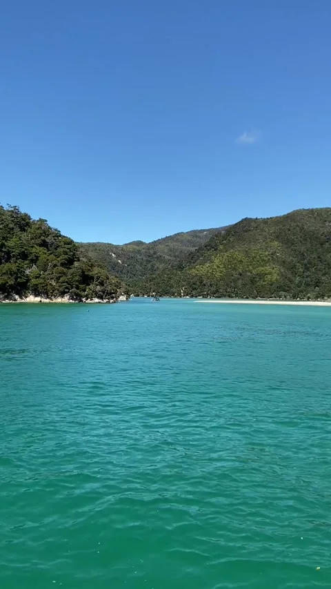Coastline in Abel Tasman Stock-Footage 343952292