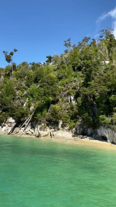 Coastline in Abel Tasman Stockbeeldmateriaal 343952309