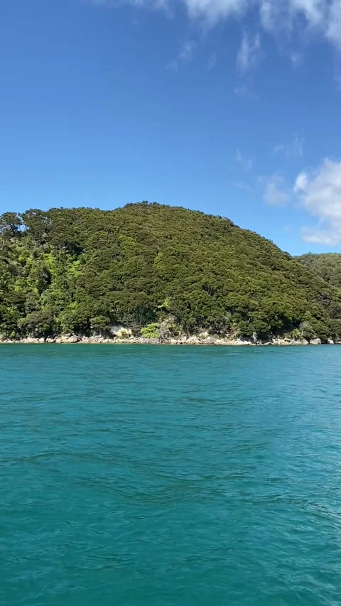Coastline in Abel Tasman Vídeo Stock 343952310