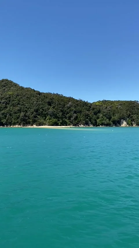 Coastline in Abel Tasman Vídeo Stock 343952336