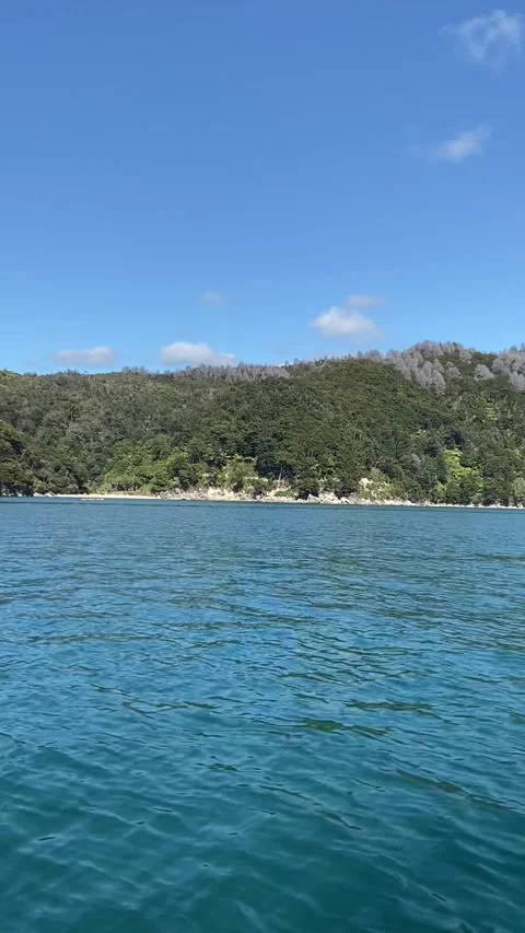Coastline in Abel Tasman Видео 343952846