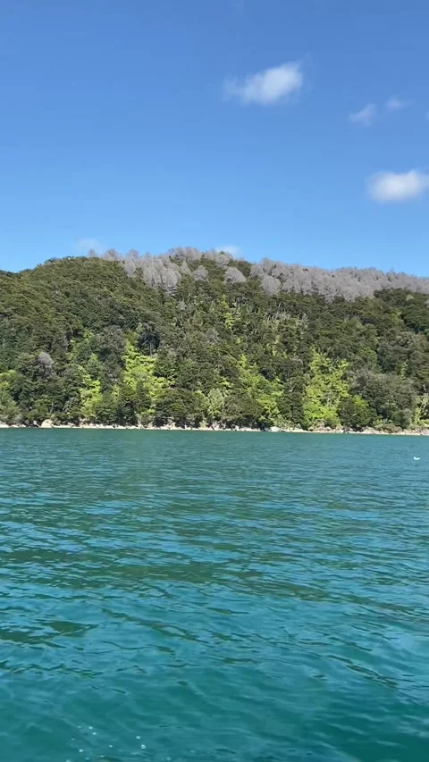 Coastline in Abel Tasman Vidéo 343952943