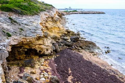 Coastline with algae on the shore Foto stock