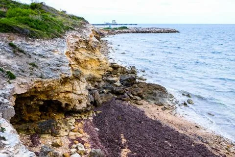 Coastline with algae on the shore Foto stock