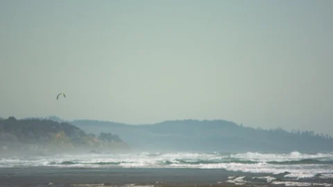 Coastline and a Windsurfer Stock Footage 91047445