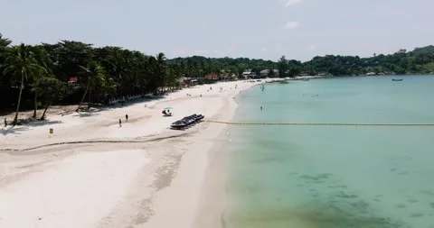 Coastline beach with palm trees and turquoise water. Haad Rin. Ko Pha Ngan Stock Footage 318812799