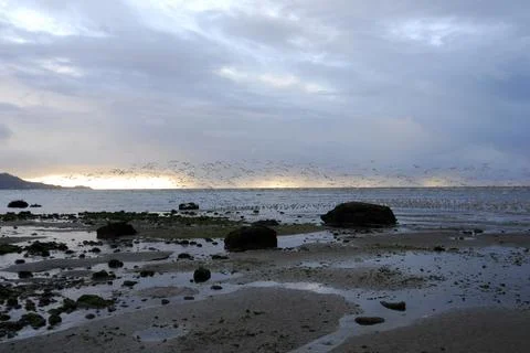 The coastline at the beach Stock Photos