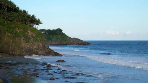 Coastline with cliffs covered with trees Stock Footage 319807170