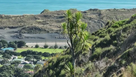 Coastline, estuary, cabbage tree and farmland in the  rural town of Marokopa, Stock Footage 283954524