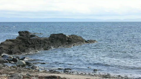 Coastline Video stock 857082