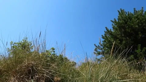 Coastline Stock Footage 93178989