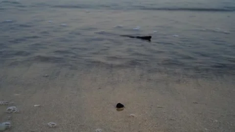 Coastline Stock Footage 255769750