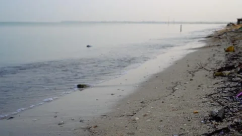 Coastline Stock Footage 255769796