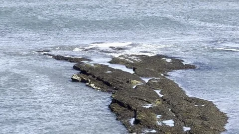 Coastline Stock Footage 310914312