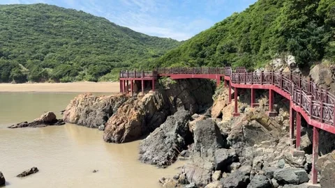 The coastline Stock-Footage 313349712